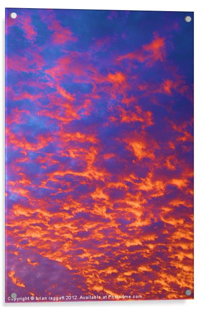 Coral Sky Acrylic by Brian  Raggatt