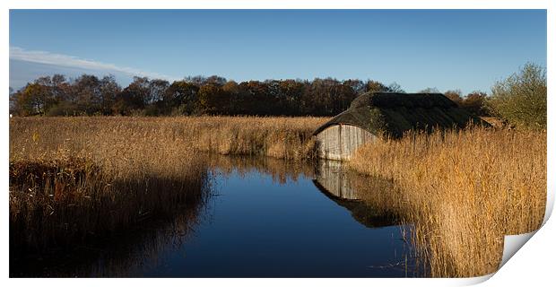 Hickling Boat Shed Print by Simon Wrigglesworth
