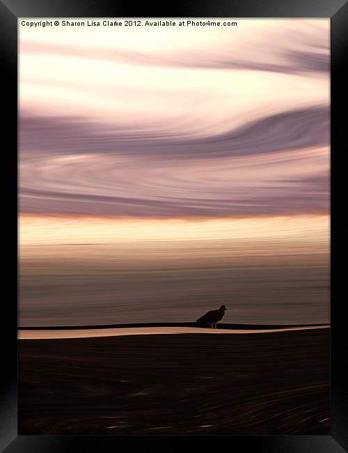 Windswept 2 Framed Print by Sharon Lisa Clarke