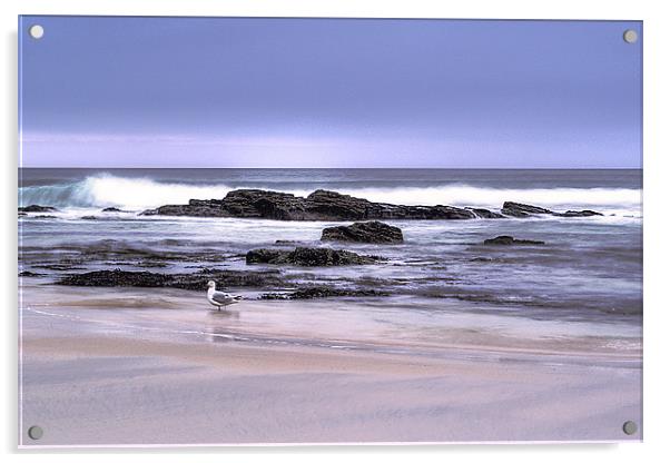 Cornish Beach 2 Acrylic by Pam Sargeant