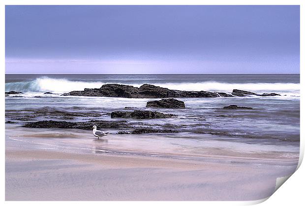 Cornish Beach 2 Print by Pam Sargeant