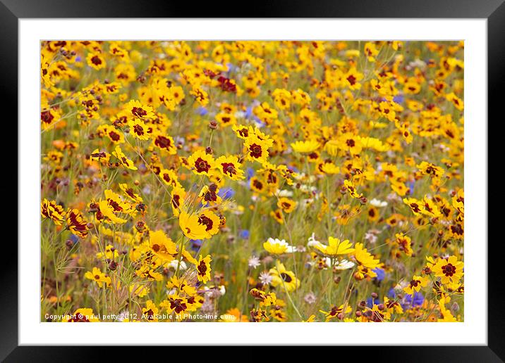 Olympic Park Meadow Framed Mounted Print by paul petty