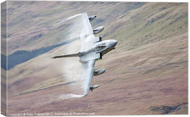 Gr4 on a low level approach Canvas Print by Rory Trappe