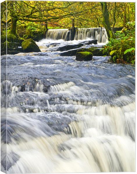 Waterfall, Garwnant Forestry Centre Canvas Print by Hazel Powell