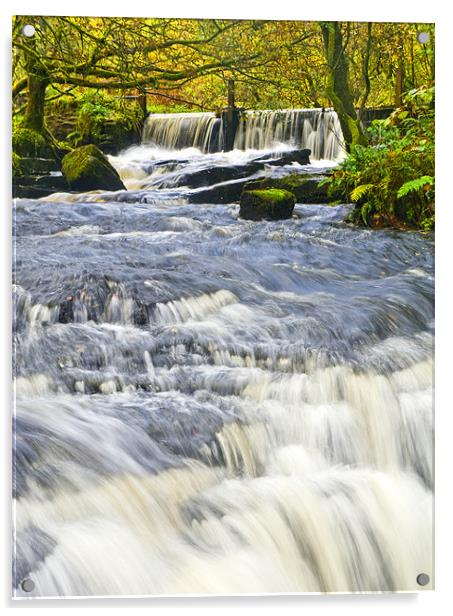 Waterfall, Garwnant Forestry Centre Acrylic by Hazel Powell