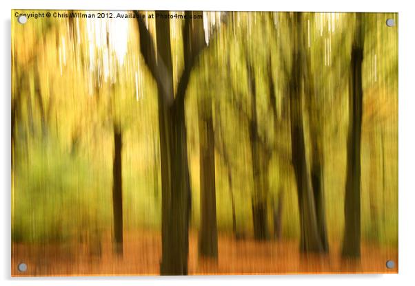 Autumn Woods Acrylic by Chris Willman