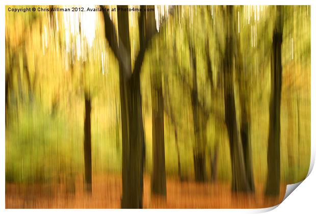 Autumn Woods Print by Chris Willman