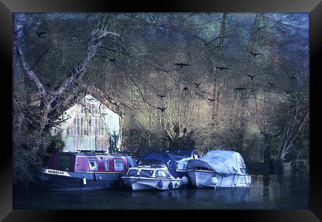 River Boats at Tonbridge, Kent Framed Print by Dawn Cox