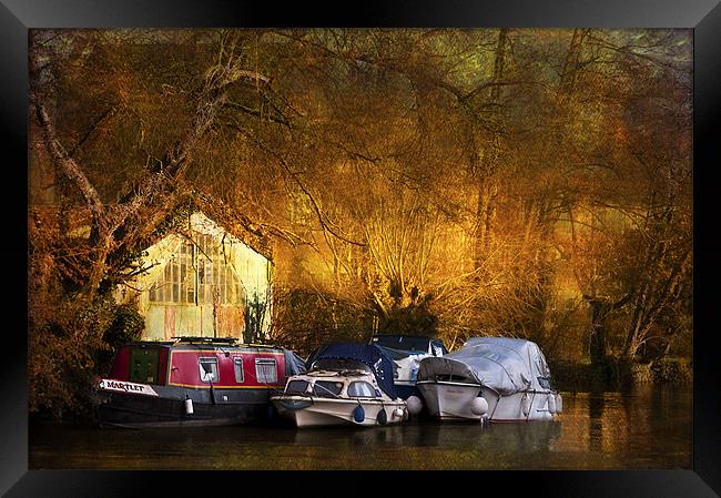 Life on the Water Framed Print by Dawn Cox