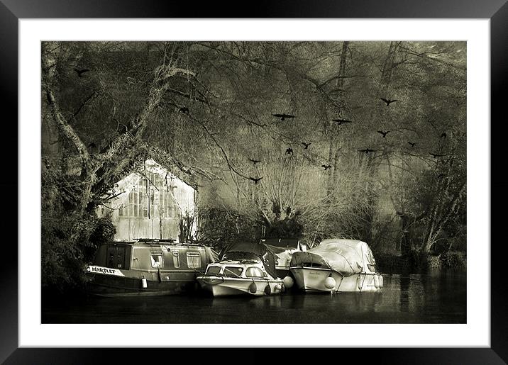 Along the River Side Framed Mounted Print by Dawn Cox