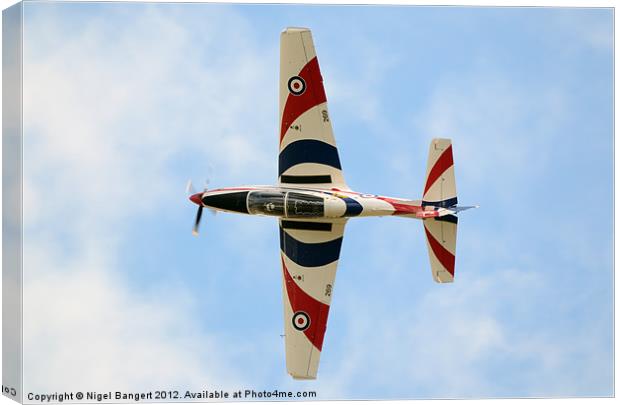 Shorts Tucano Canvas Print by Nigel Bangert