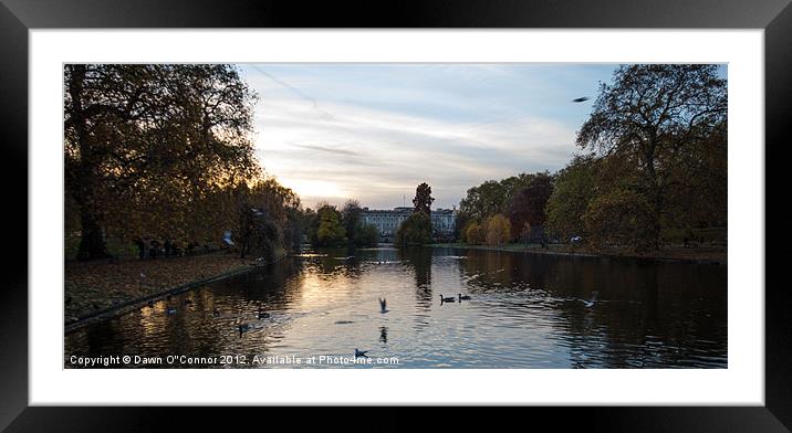 Buckingham Palace Framed Mounted Print by Dawn O'Connor