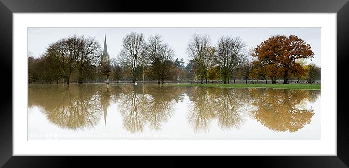 Color reflections Framed Mounted Print by Vinicios de Moura