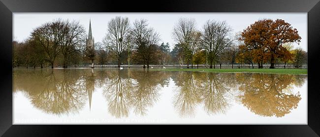 Color reflections Framed Print by Vinicios de Moura