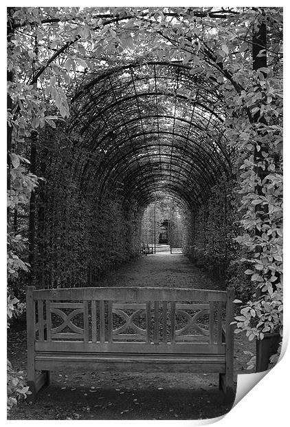 Alnwick Castle Gardens Print by Shaun Cope