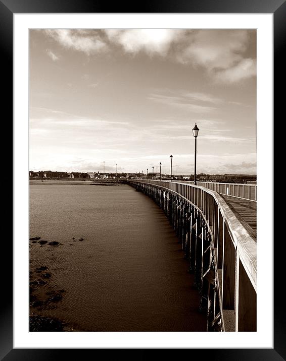 the boardwalk Framed Mounted Print by Shaun Cope