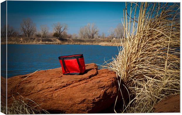 Red Lunch Bag Canvas Print by Doug Long