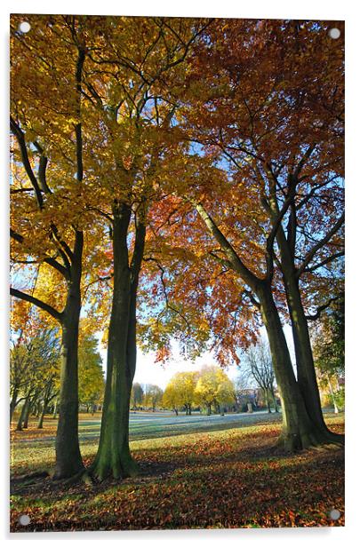 Autumn Parkland Acrylic by Stephen Wakefield