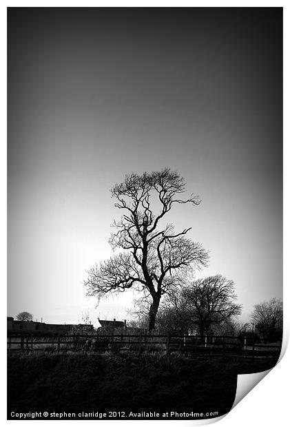 Old tree in monochrome Print by stephen clarridge