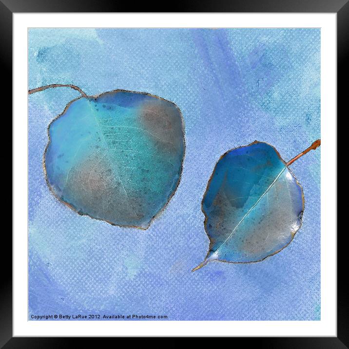 Leaf Study in Blue Framed Mounted Print by Betty LaRue
