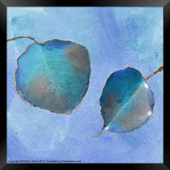 Leaf Study in Blue Framed Print by Betty LaRue