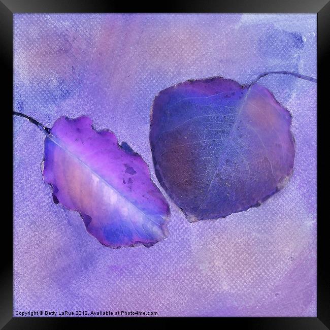 Leaf Study in Purple Framed Print by Betty LaRue