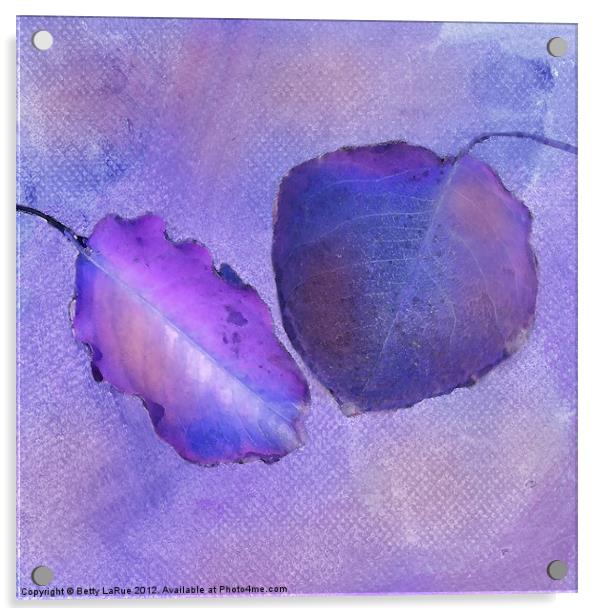 Leaf Study in Purple Acrylic by Betty LaRue