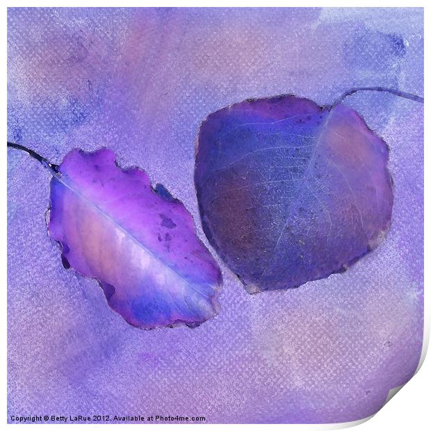 Leaf Study in Purple Print by Betty LaRue