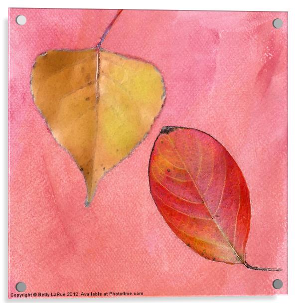 Leaf Study in Pink Acrylic by Betty LaRue