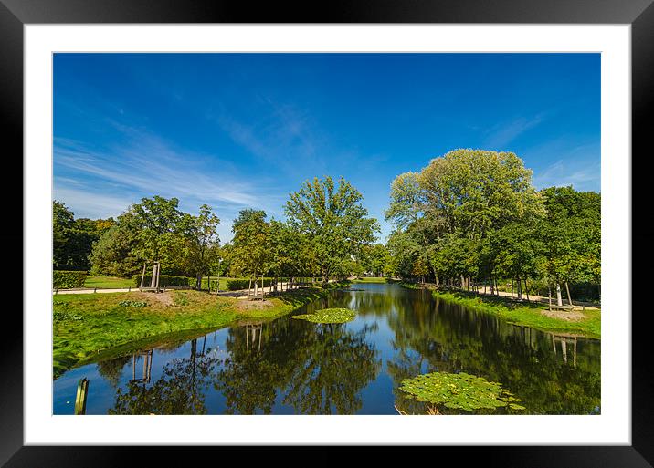 Goldfischteich Pond Framed Mounted Print by Jonah Anderson Photography