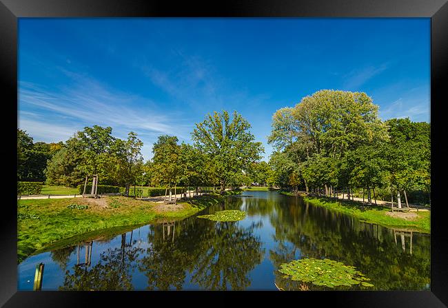 Goldfischteich Pond Framed Print by Jonah Anderson Photography