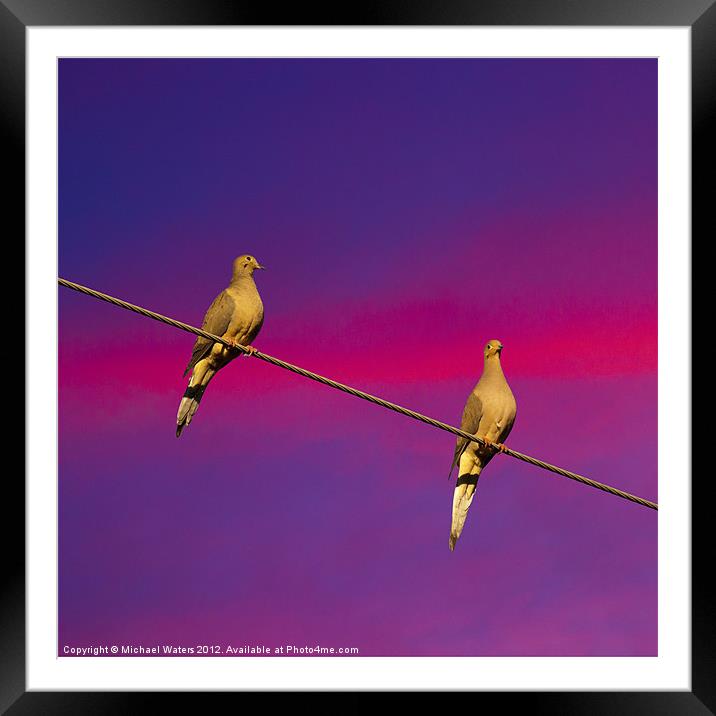Birds on a Wire Framed Mounted Print by Michael Waters Photography