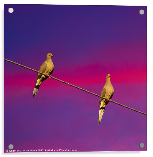 Birds on a Wire Acrylic by Michael Waters Photography