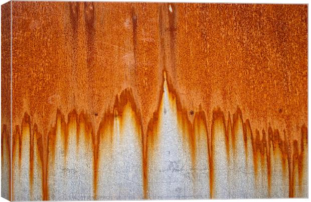 Rusty curtains Canvas Print by Greg Marshall