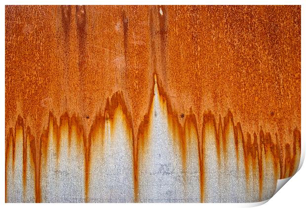 Rusty curtains Print by Greg Marshall