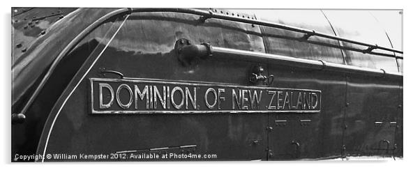 A4 No.4492 Dominion Of New Zealand (Bittern) Acrylic by William Kempster