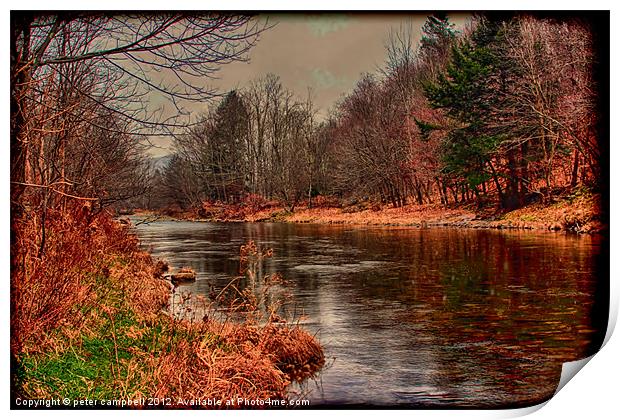 Creek Print by peter campbell