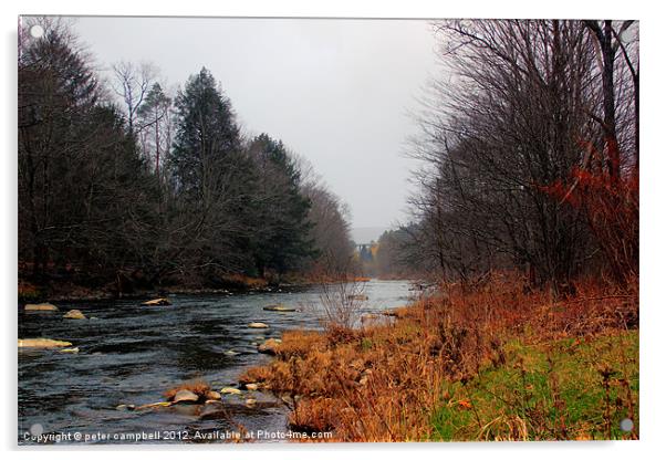 Livingston , NY Creek 2 Acrylic by peter campbell