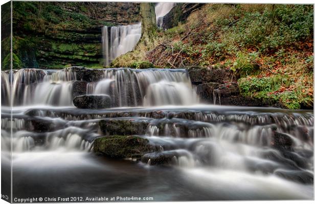 Scaleber Force Layers Canvas Print by Chris Frost