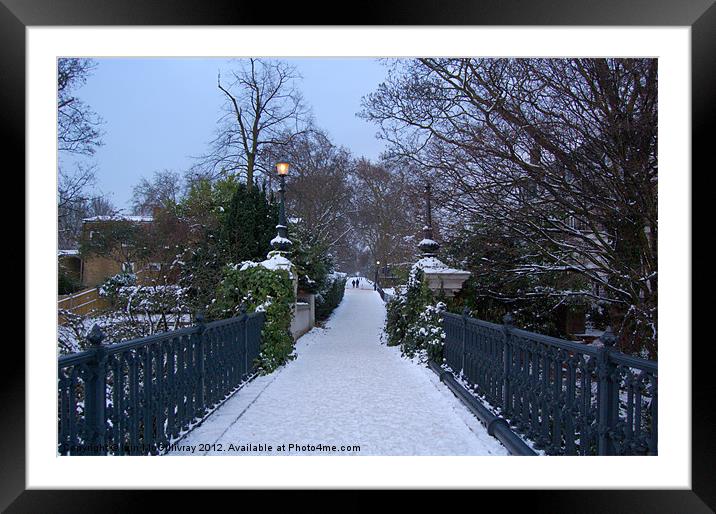 Regent''s Park in Winter Framed Mounted Print by Iain McGillivray