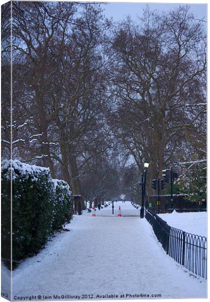 Regent''s Park in Winter Canvas Print by Iain McGillivray