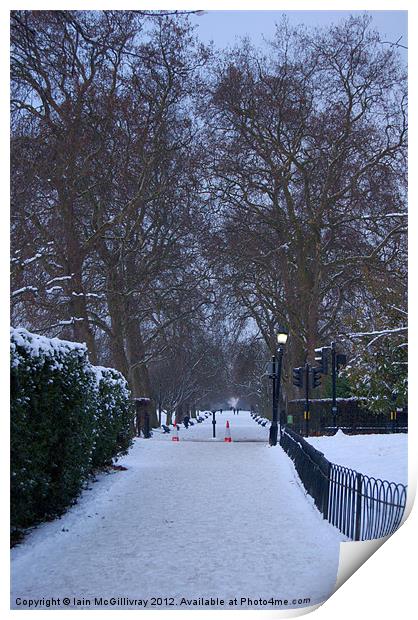 Regent''s Park in Winter Print by Iain McGillivray