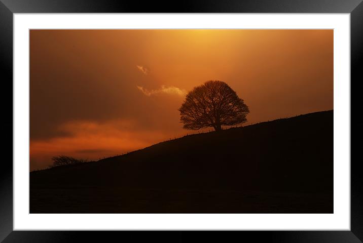 Silhouette Framed Mounted Print by Tracey Whitefoot