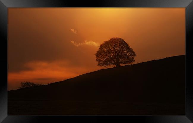 Silhouette Framed Print by Tracey Whitefoot