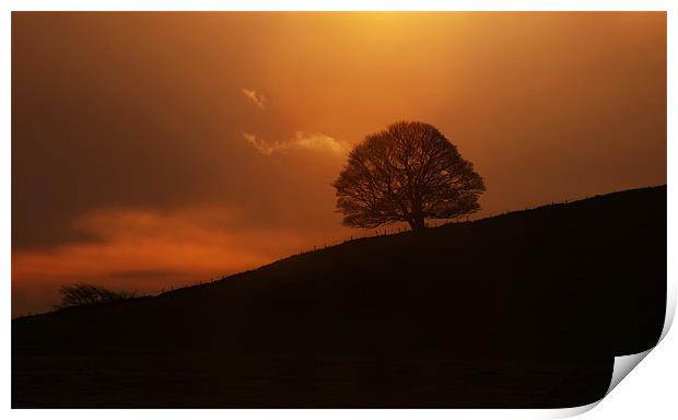 Silhouette Print by Tracey Whitefoot