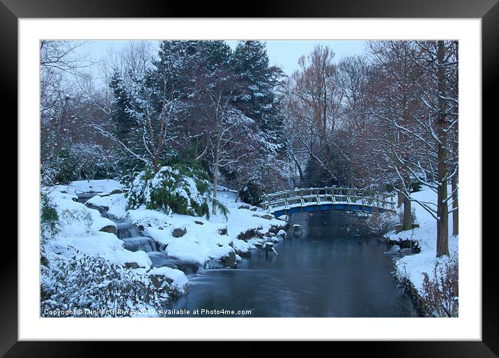 Regent''s Park in Winter Framed Mounted Print by Iain McGillivray