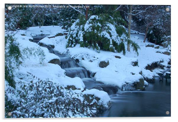 Snowy Waterfall Acrylic by Iain McGillivray