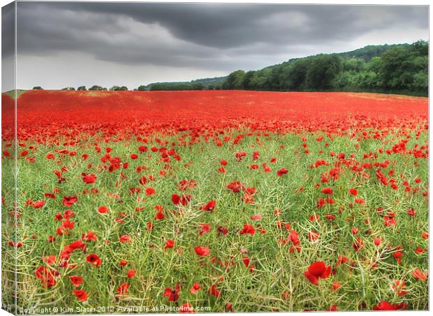 Poppies Canvas Print by Kim Slater