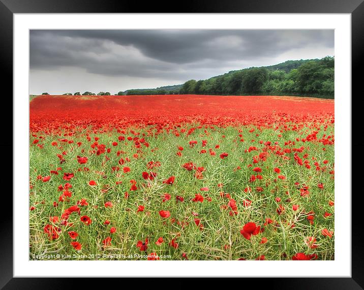 Poppies Framed Mounted Print by Kim Slater