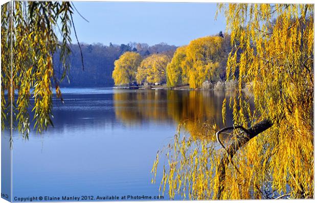 November Weeping Willows Canvas Print by Elaine Manley